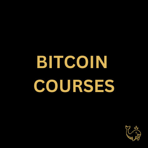 Bitcoin Course - 3 days