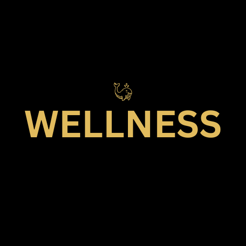 Tesla Bio Healing treatment - 2 hours treatment